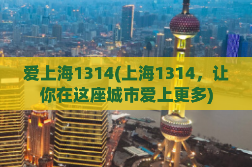 爱上海1314(上海1314，让你在这座城市爱上更多)